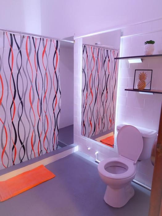 traveler hostel