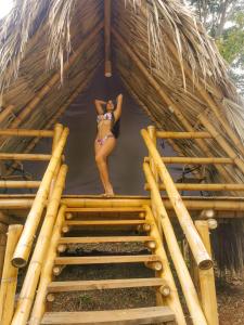 traveler hostel