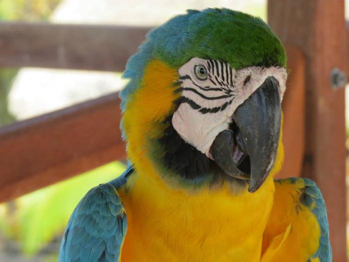 hotel rancherio shangai