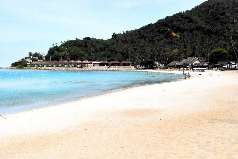 the sarann