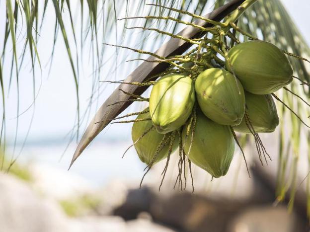 crystal bay beach resort