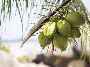 crystal bay beach resort