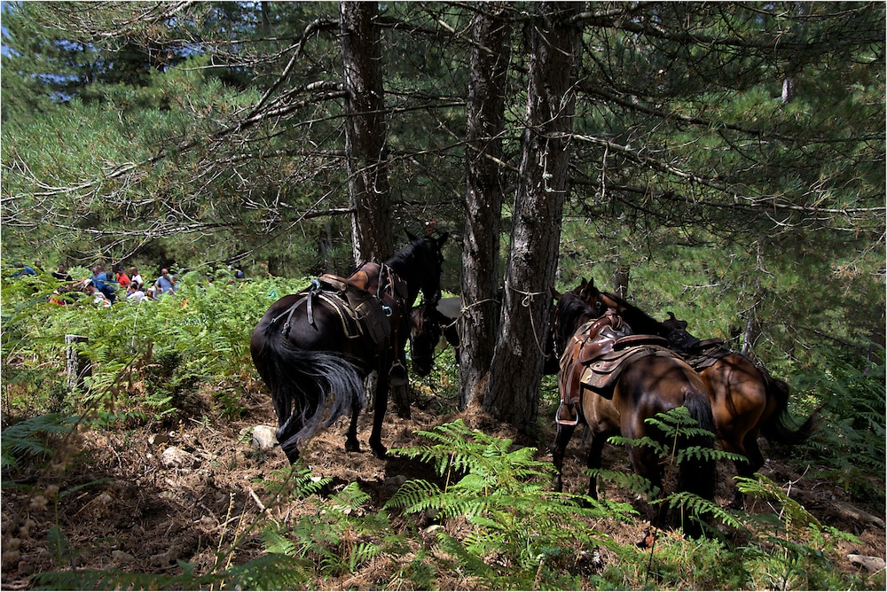 hotel des deux sorru