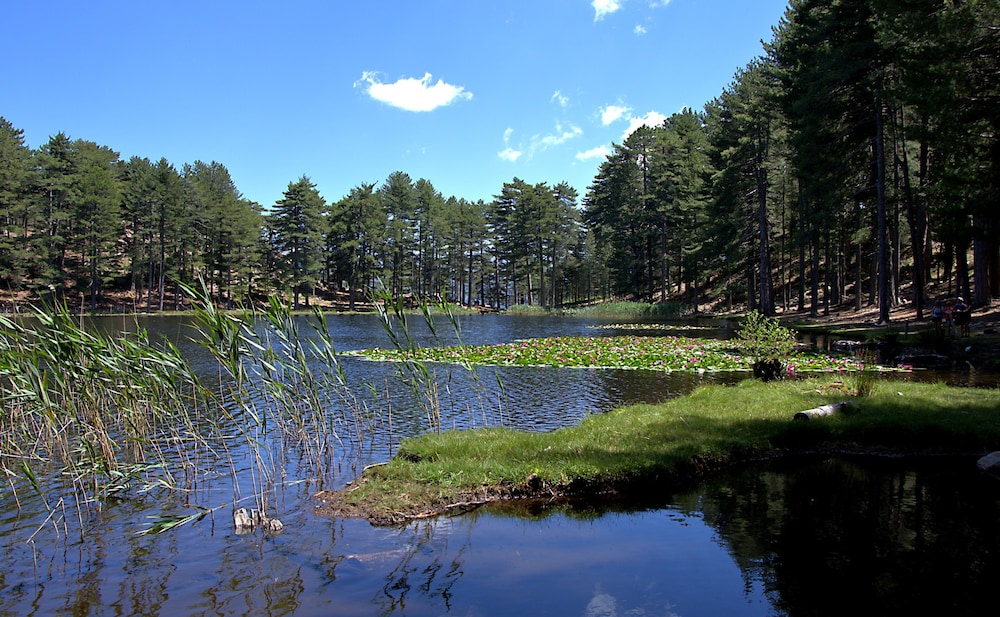 hotel des deux sorru