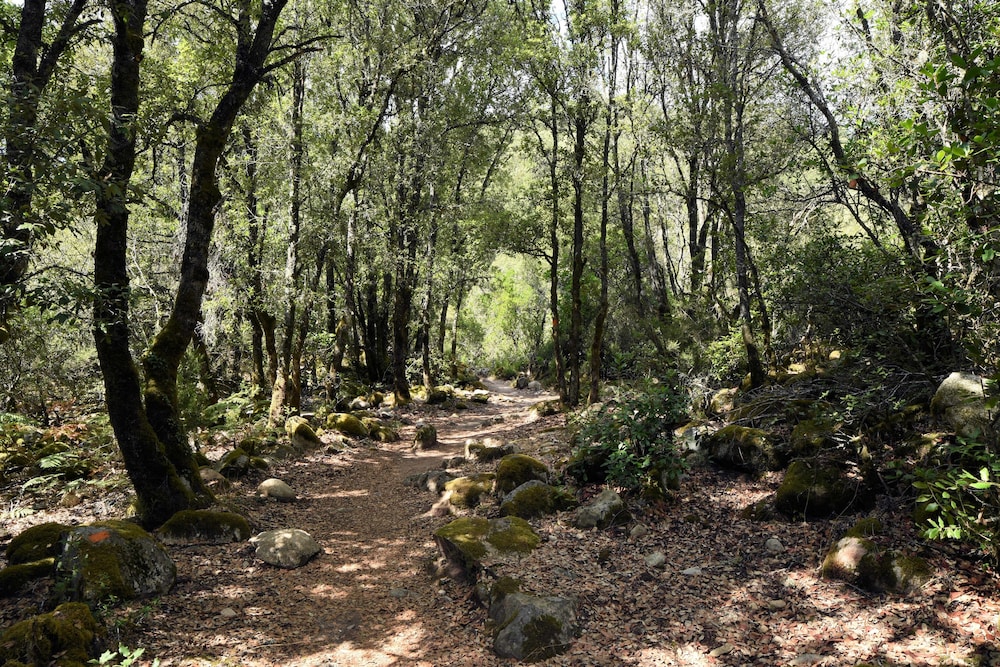 hotel des deux sorru