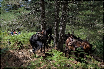 hotel des deux sorru