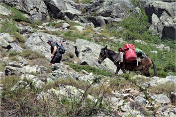 hotel des deux sorru