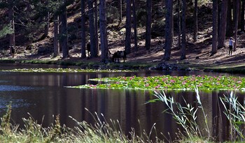 hotel des deux sorru