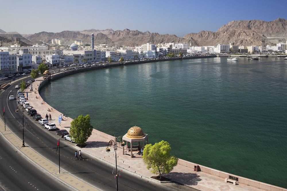 ibis muscat
