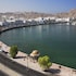 ibis muscat