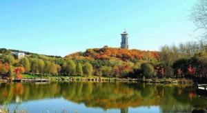 7 days premium changchun renmin northeast normal university pingquan road