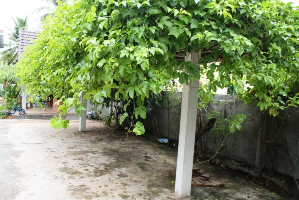 my parents guesthouse