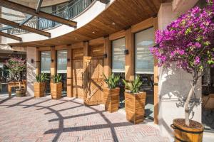 blu bay hotel sozopol