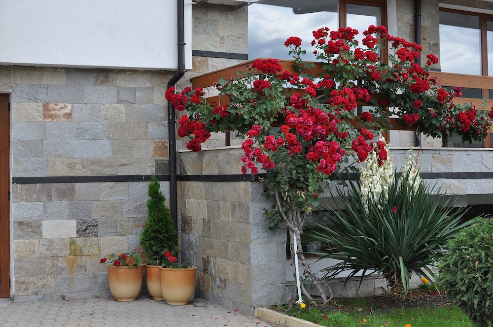 festa gardenia hills