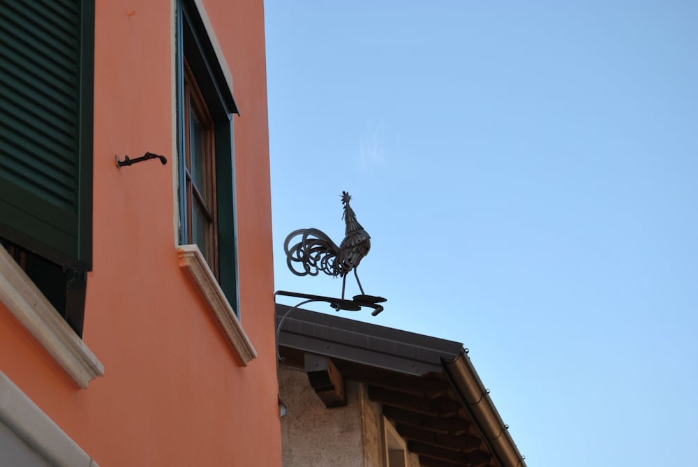 gallo