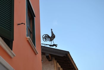 gallo