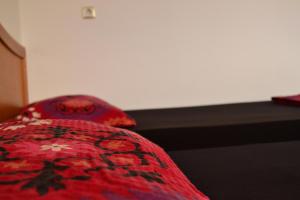 youth hostel ferijalac