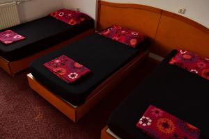 youth hostel ferijalac
