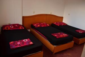 youth hostel ferijalac