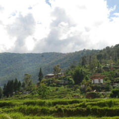 punakha