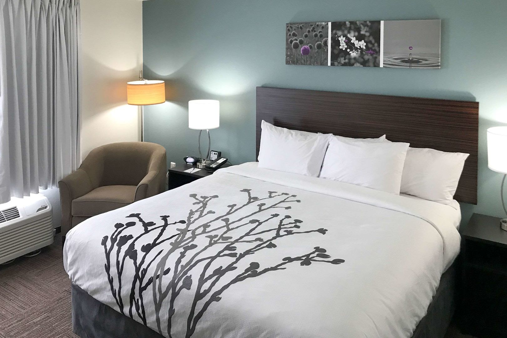 sleep inn and suites near westchase