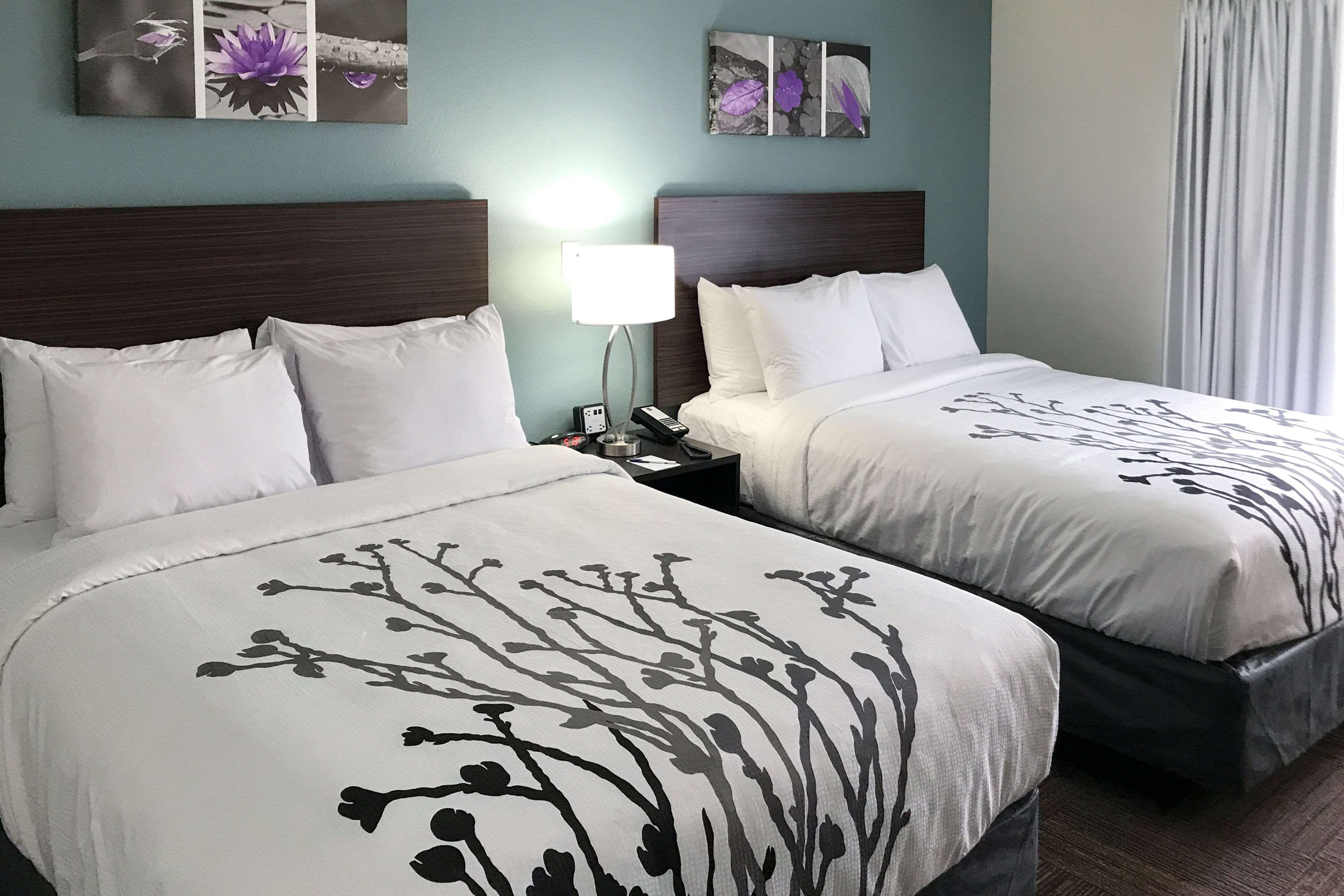 sleep inn and suites near westchase