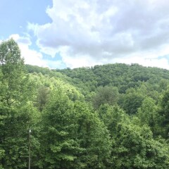 cullowhee
