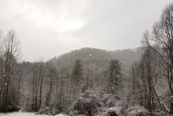 cullowhee