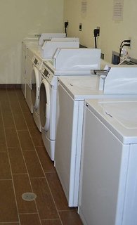 black gold suites tioga