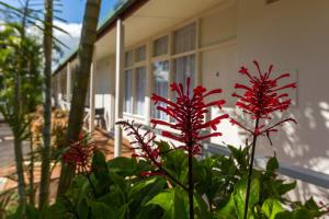 Dawson Motor Inn Motel,Girards Hill>>Coorabell,3 star