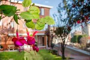 Qhini Hotel Boutique,Macrodistrito Sur>>La Paz,3 star