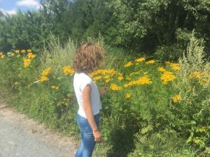 ' T Bed En Tafel,Kortrijk>>Avelgem,2 star