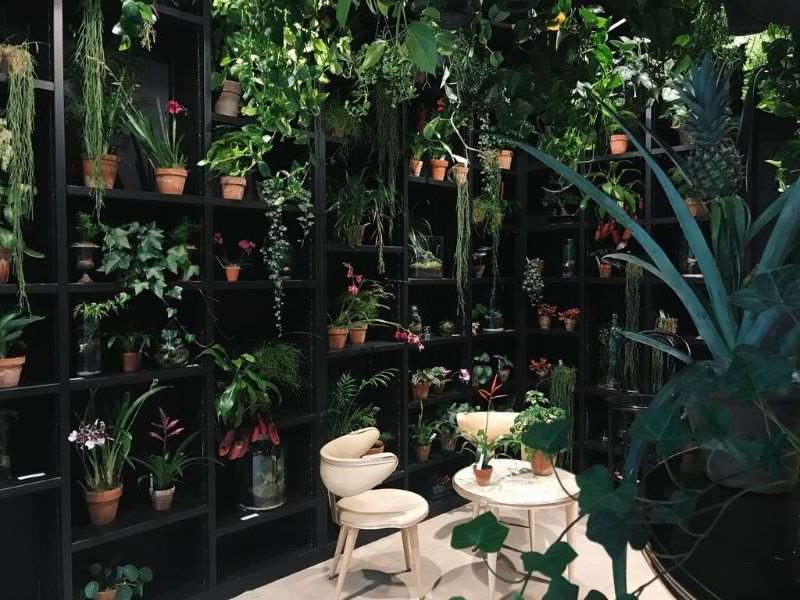 latroupe jardin secret