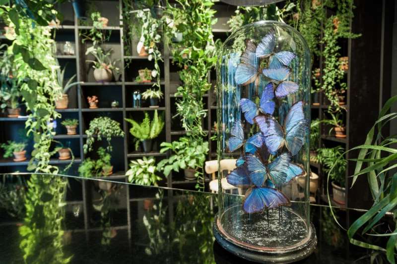 latroupe jardin secret