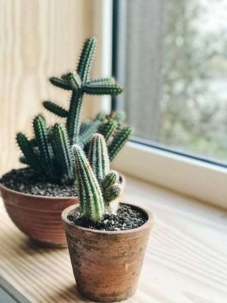 latroupe jardin secret