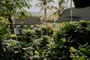phu quoc