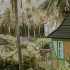 phu quoc
