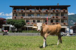 jungfrau hotel
