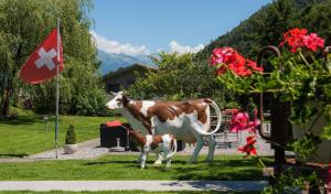 jungfrau hotel