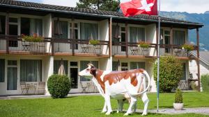 jungfrau hotel