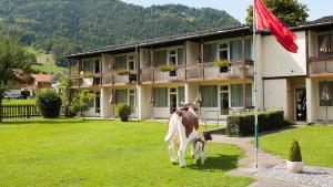 jungfrau hotel