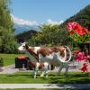 jungfrau hotel