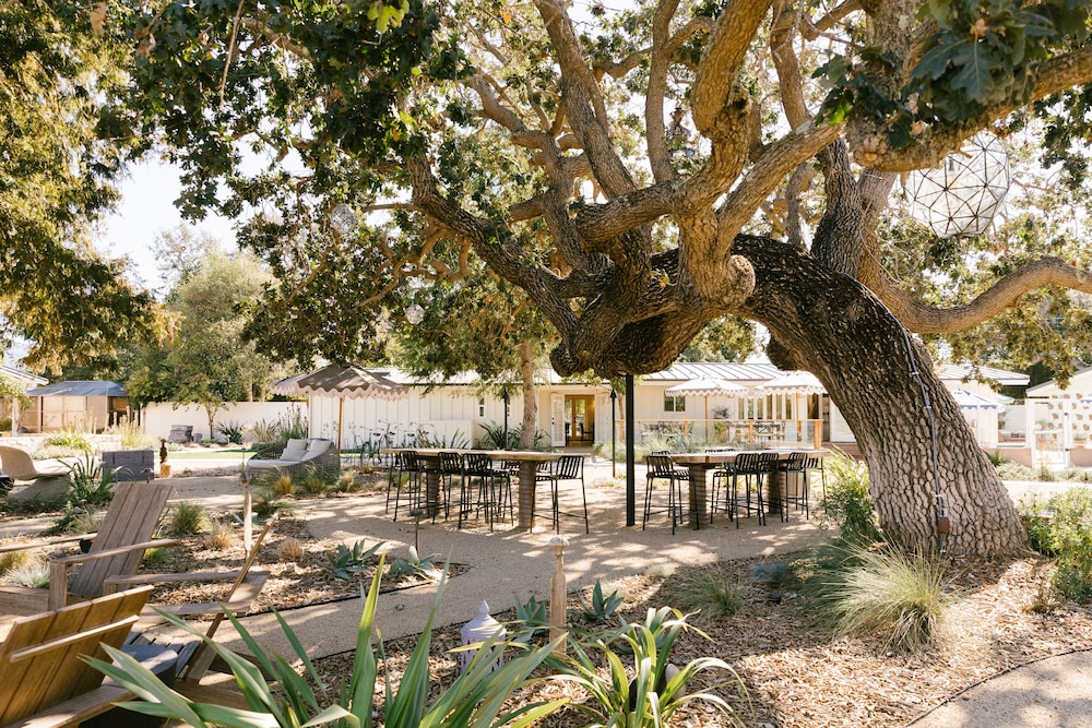 hotel ynez