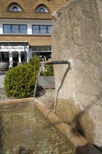 wittenbeck