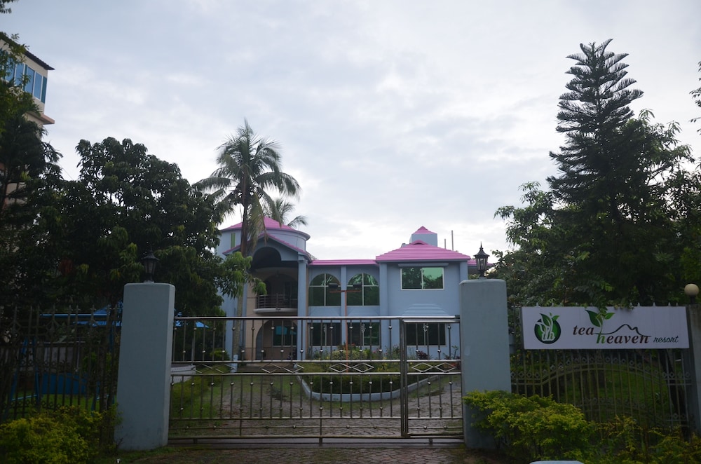 tea heaven resort