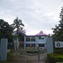 tea heaven resort