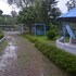 tea heaven resort