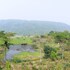 gowainghat