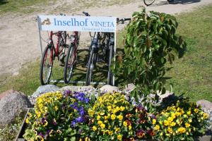 inselhof vineta