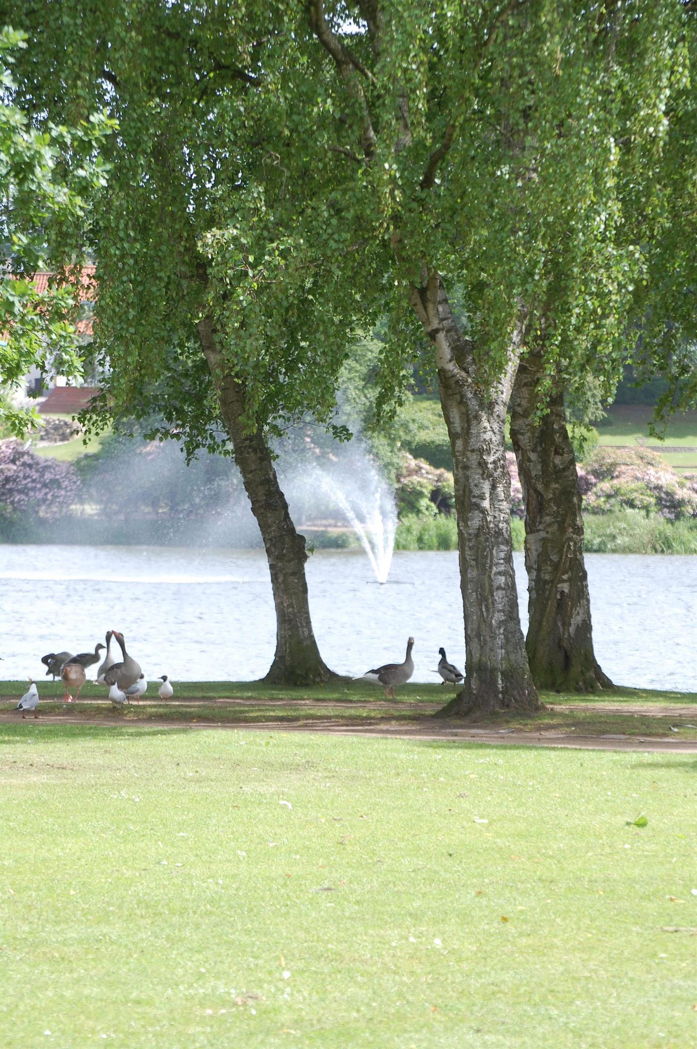 haderslev